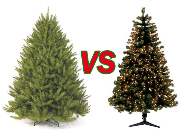 Real Christmas Trees vs Fake Christmas Trees « A Round World Through ...